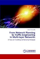 From Network Planning to Traffic Engineering in Multi-layer Networks